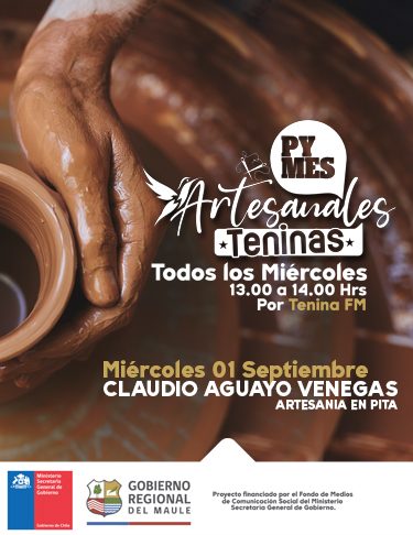PYMES ARTESANALES TENINAS: MIÉRCOLES 01 SEPTIEMBRE CLAUDIO AGUAYO