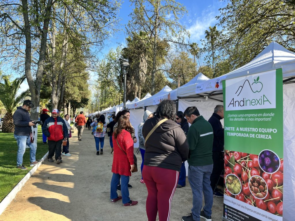 Exitosa realización de la Novena Versión de la Feria Laboral y Emprendimiento Inclusivo en Teno