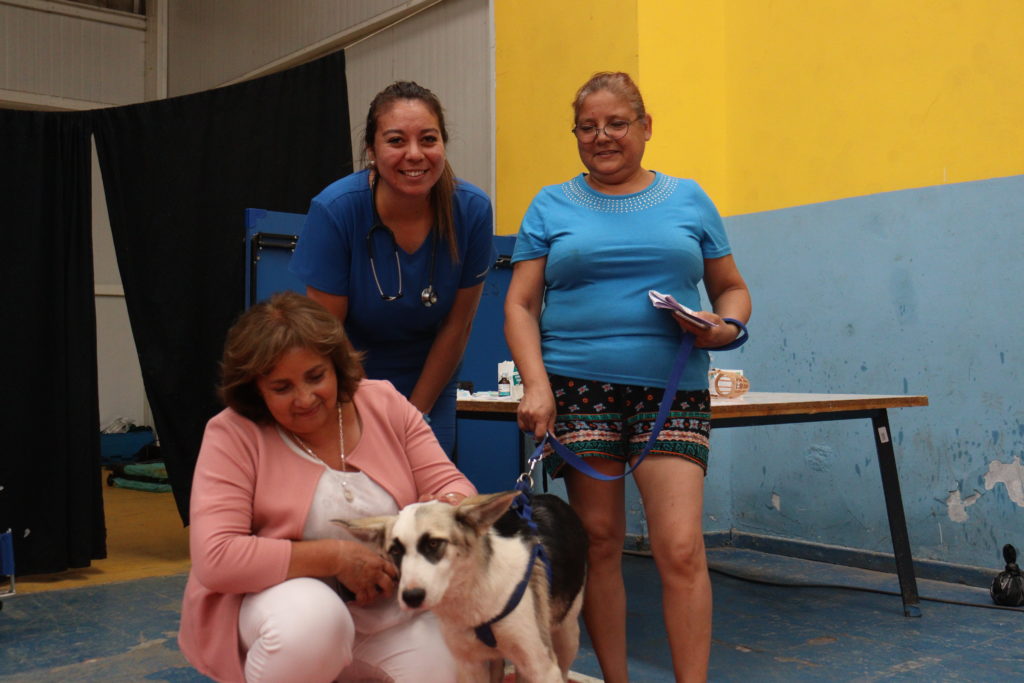 CADA VEZ MÁS CERCA LA CLÍNICA VETERINARIA MÓVIL PARA TENO