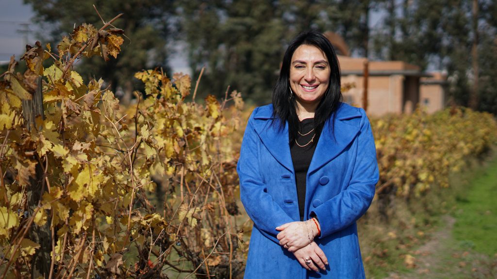 CRDP MAULE REALIZA EXITOSO ENCUENTRO EN EL DÍA NACIONAL DEL VINO