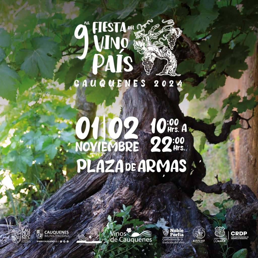 La Corporación Regional de Desarrollo Productivo promueve  Fiesta del Vino País de Cauquenes