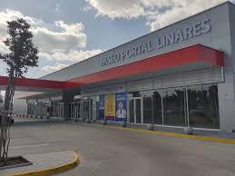 Emprendedores Market Maule aprovechan espacios de Paseo Portal Linares
