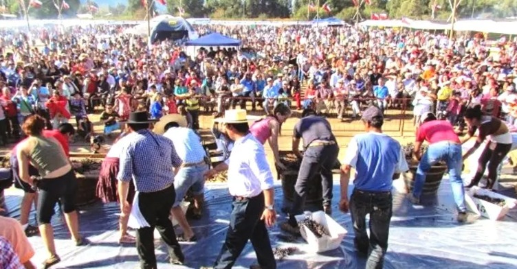 Confirman realización de Fiesta de la Chicha de Rincón de Mellado 2025