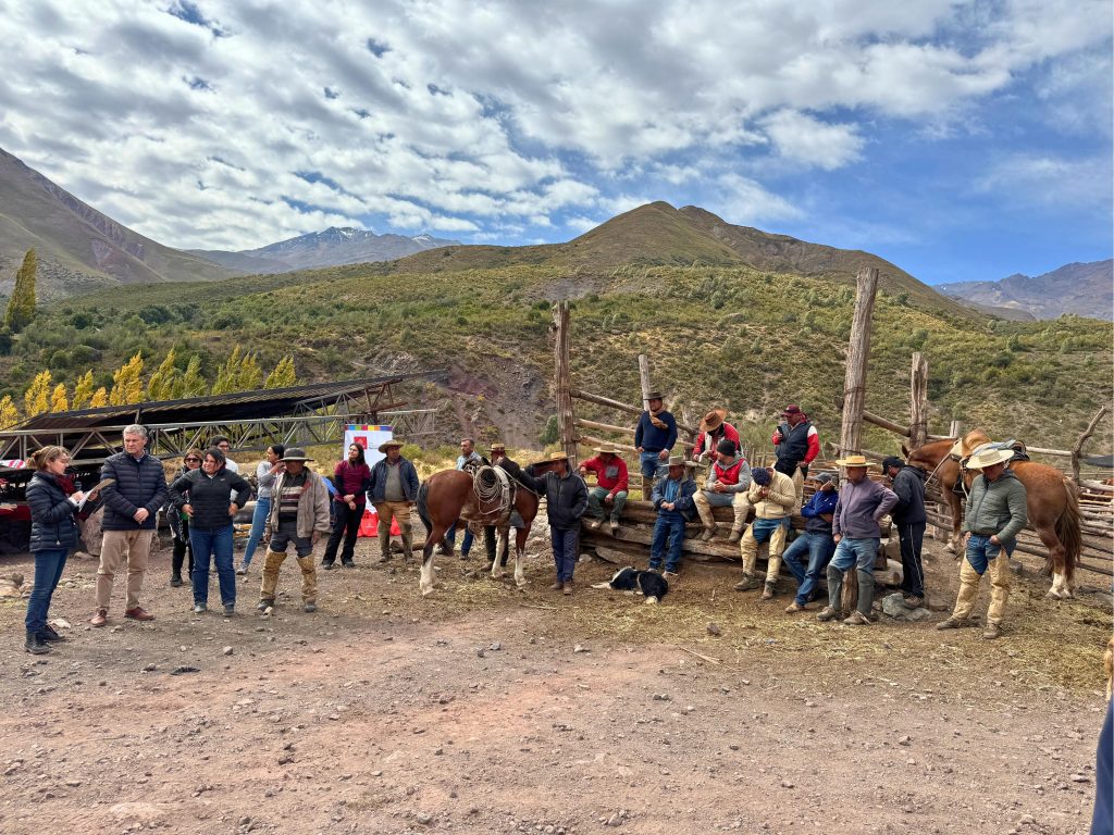 Romeral honra sus tradiciones con el Primer Campereo Cordillerano.